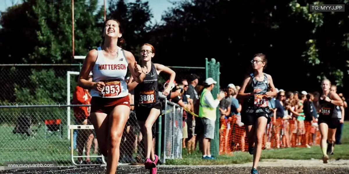 篮筐之下,书写属于你的传奇!🏀✨