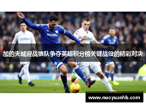加的夫城迎战狼队争夺英超积分榜关键战役的精彩对决