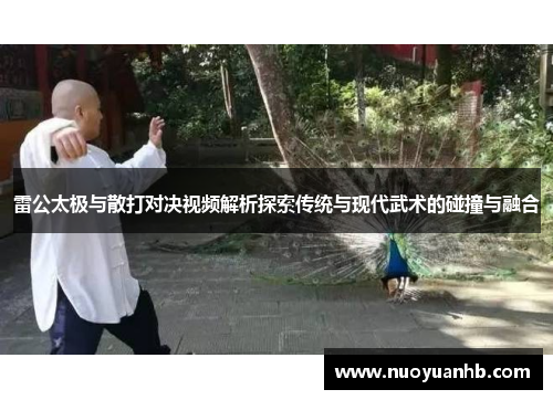 雷公太极与散打对决视频解析探索传统与现代武术的碰撞与融合